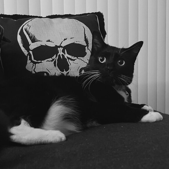 Meet the Posher Other - for the love of all things spooky, strange and unusual.